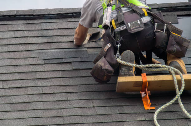 Roof Gutter Cleaning in Thorofare, NJ